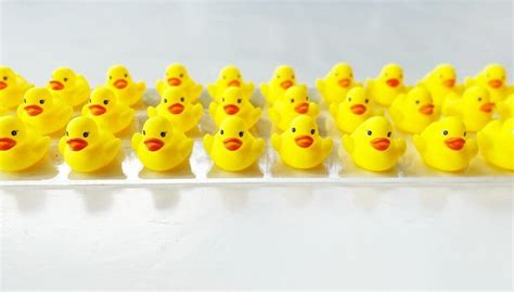 Rubber Duck wall art. Original fun modern pop art wall sculpture ...