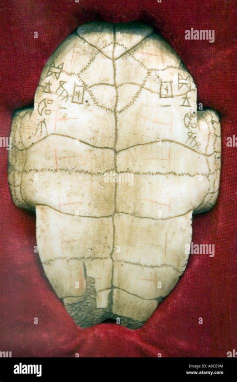 the biggest Inscribed Oracle Bone From the Shang Dynasty in Yinxu city ...