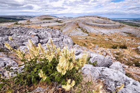 Burren National Park