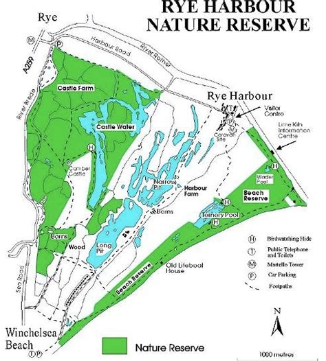 Rye Harbour Nature Reserve - BirdForum Opus | BirdForum