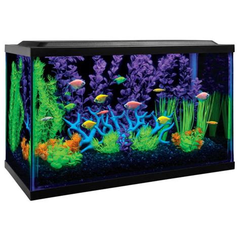 FLASH DEAL! GloFish 10-Gallon Aquarium Kit With Filter, Conditioner and ...