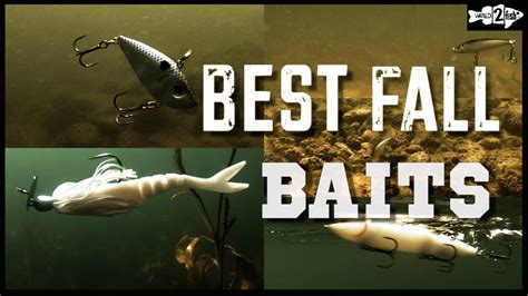 5 BEST BAITFISH BASS LURES for Fall Bass Fishing – Bass Manager | The ...