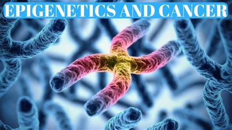 Does Our Epigenetics Cause Cancer? - An Oasis of Healing