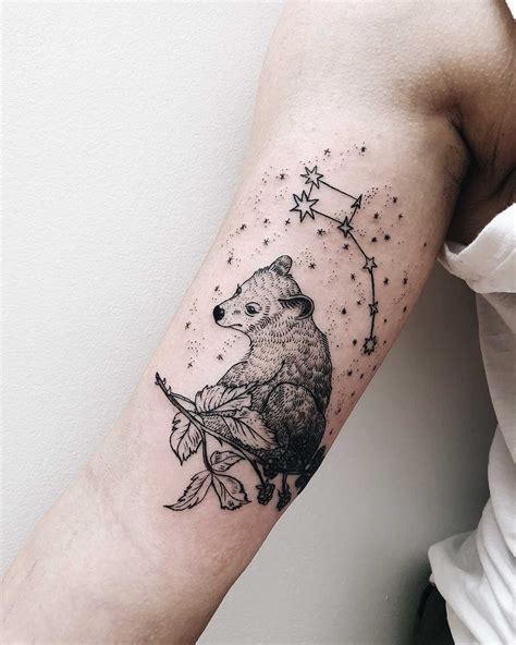 Little dipper and bear tattoo - Tattoogrid.net