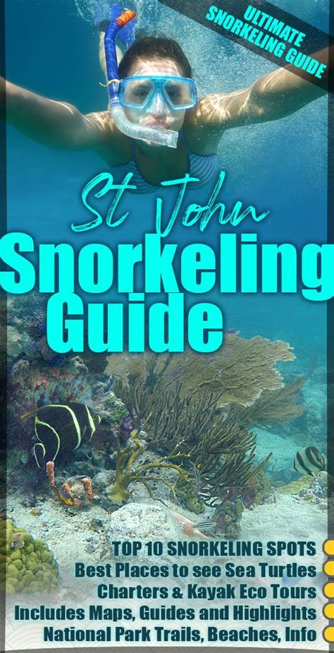 St John Snorkeling Guide | St john usvi, St john virgin islands, Virgin ...