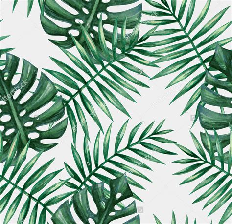 Free photo: Palm Leaf Background - Abstract, Nature, Texture - Free ...