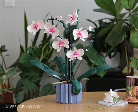 Review: LEGO 10311 Orchid (2022 Botanical Collection) - Jay's Brick Blog