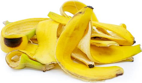 Banana Peels Information and Facts