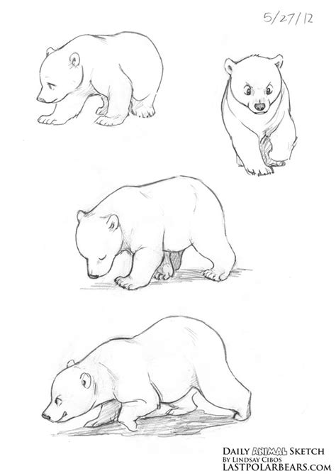 Lindsay Cibos' Art Blog: Daily Animal Sketch – Polar Bear cubs