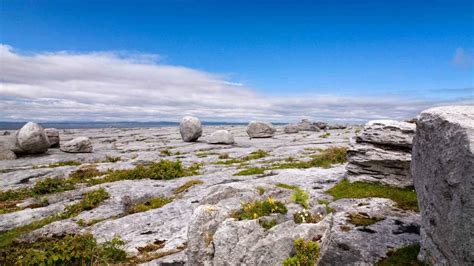 The Burren National Park | Things to Do | Claregalway Hotel