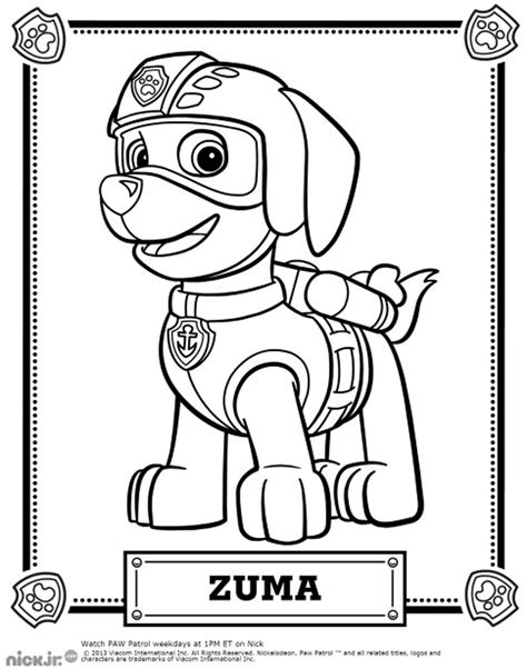 Patrol : Zuma - Paw Patrol Coloring Pages for Kids