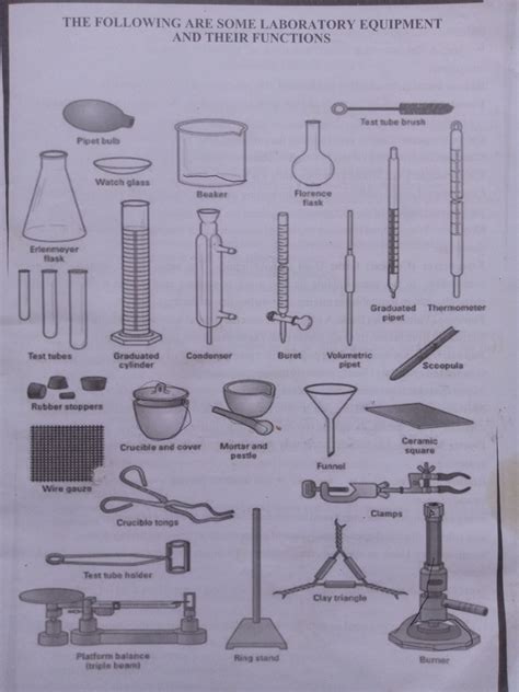 20 Laboratory Apparatus And Their Uses With Pictures - Design Talk