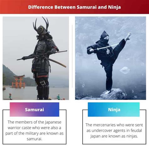 Samurai vs Ninja: Difference and Comparison