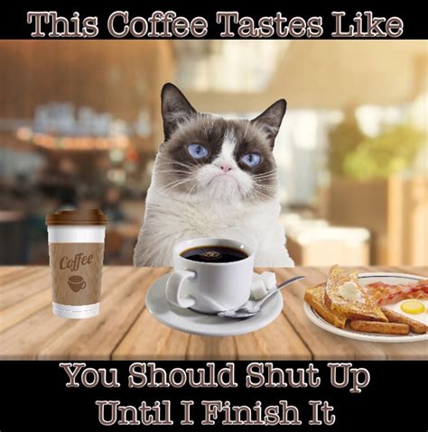 Grumpy Cat Coffee Memes | Coffee humor, Grumpy cat humor, Coffee meme funny