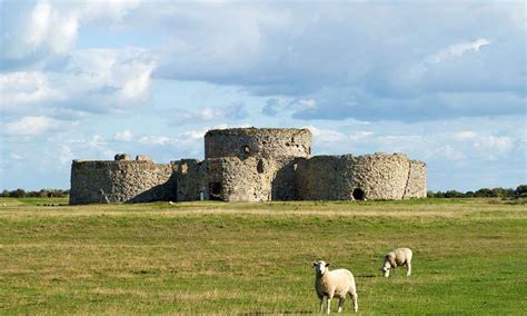 Rye Harbour & Nature Reserve | Things To Do Rye Harbour | The Lookout