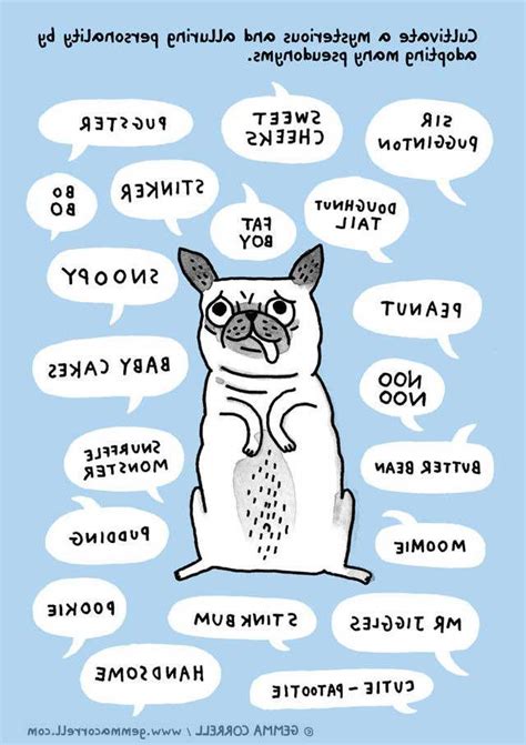 Cute Pug Names | PETSIDI