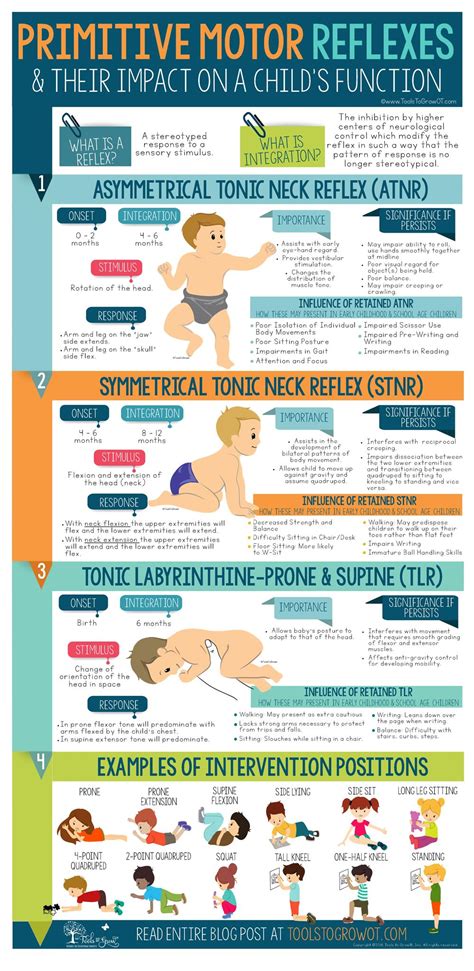 Infographic, Blog Post, and Resources! Primitive Motor Reflexes & Their ...