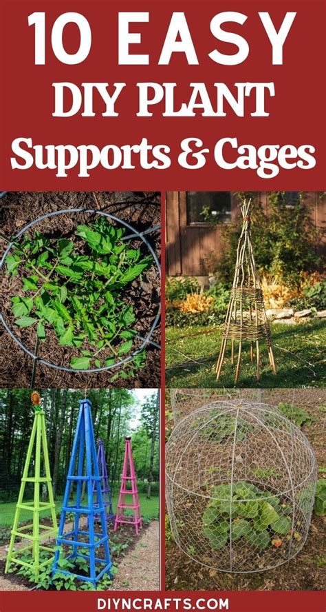 15 DIY Plant Supports And Cage | Diy plants, Plant supports, Diy garden ...