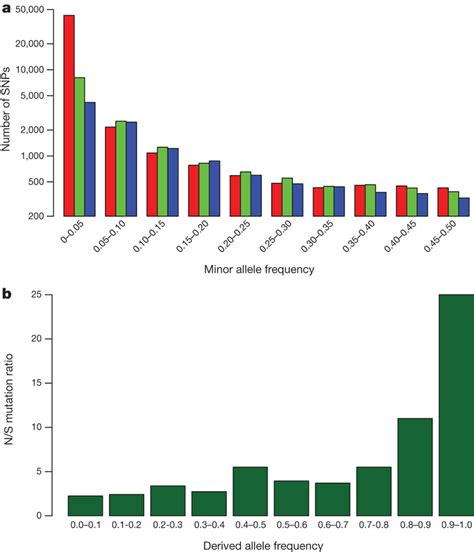 Allele frequency spectrum of SNPs genotyped in this study. a ...