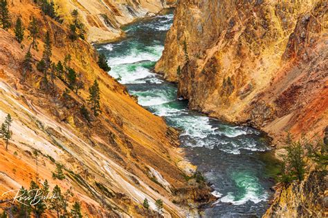 Grand Canyon of the Yellowstone | Russ Bishop Photography