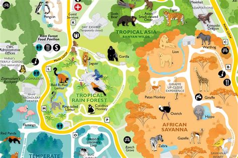 Maps, Rentals, Dine and Shop - Woodland Park Zoo Seattle WA