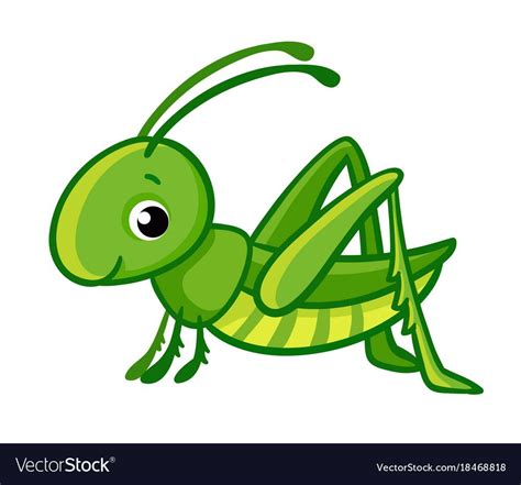 Isolated cute green grasshopper vector image on VectorStock | Green ...