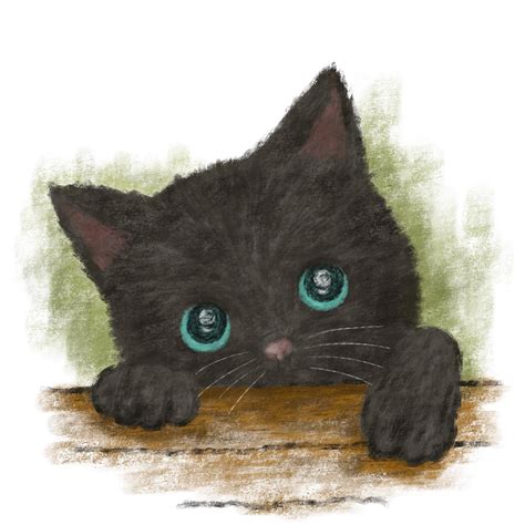 Black Cat with Blue Eyes :: Behance