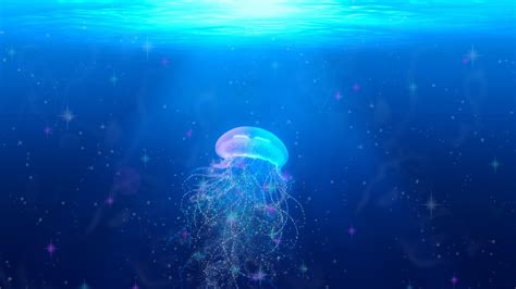 Jellyfish - Wallpaper Cave