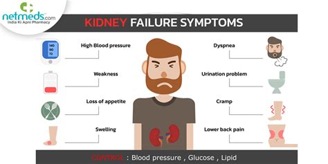 Kidney Health: Know About 11 Early Warning Signs of Renal Disease