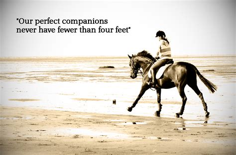 Funny Horseback Riding Quotes. QuotesGram