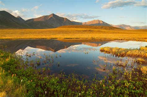 Arctic National Wildlife Refuge trips | ANWR tours Alaska arctic refuge