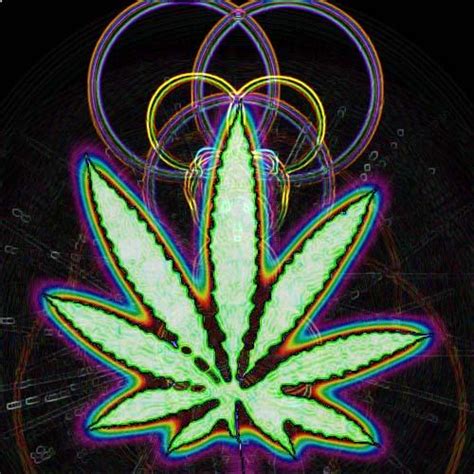 🔥 [50+] Psychedelic Weed Wallpapers | WallpaperSafari