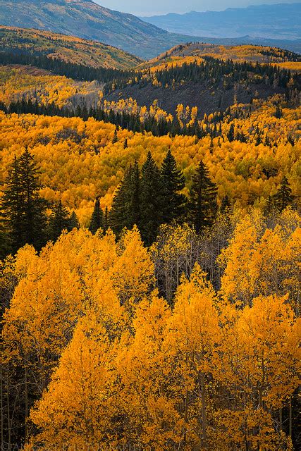 Grand Mesa Fall Colors // ADVENTR.co