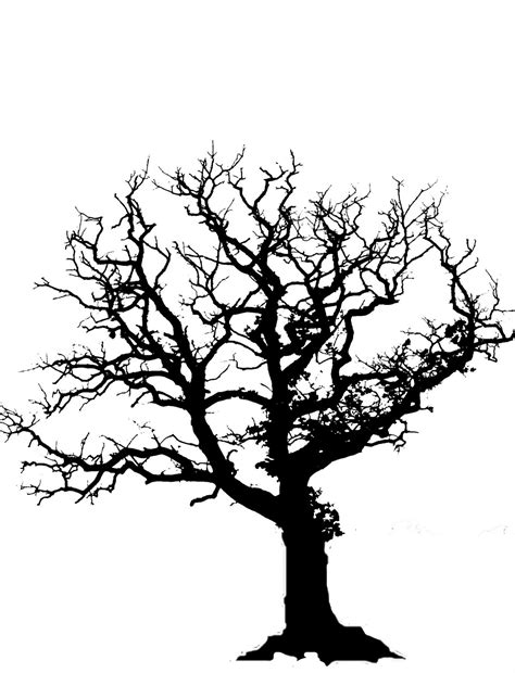 Bare Tree Silhouettes - ClipArt Best