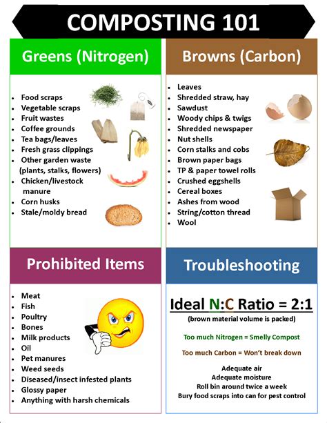 How to Compost: An Easy Guide to Stylish Countertop Composting