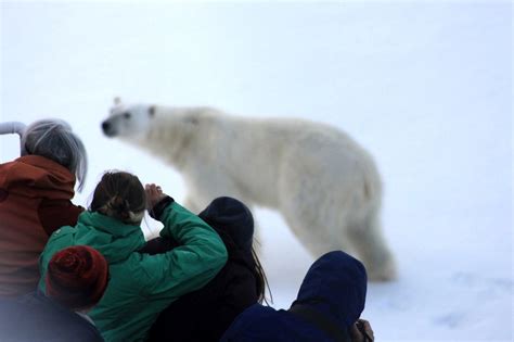 Highlights of My Arctic Expedition Cruise Voyage - G Adventures