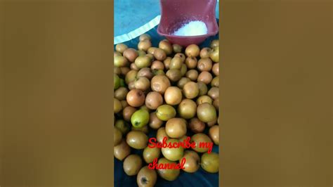 Mouth Watering Fruits India Special Fruit 🍒 Renikayalu - YouTube