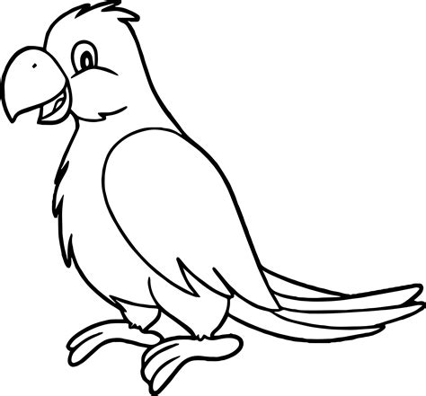 Parrot Drawing Images at GetDrawings | Free download