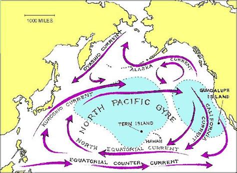 Kuroshio Current