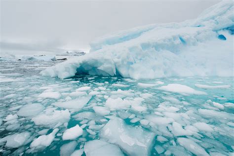 Antarctica Iceberg | Lots of ice on the water on this day. | Pedro ...