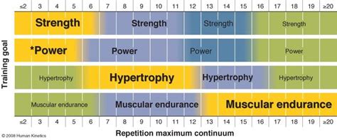 » What is the Best Rep Range for Muscle Strength and Size?