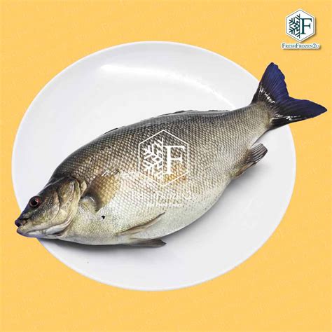 Fish Jade Perch Cleaned (450 g) 宝石鲈鱼