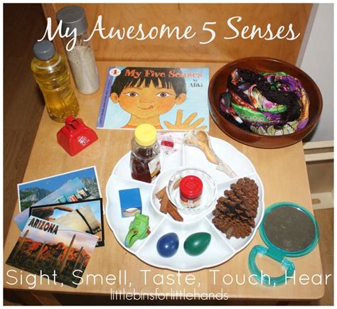 5 senses activity discovery table set up sight smell taste touch hear ...