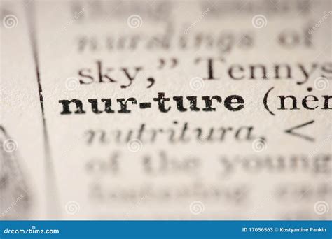 Word nurture stock image. Image of learn, gain, page - 17056563