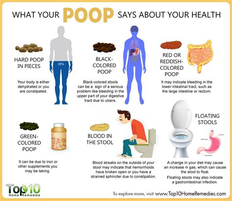 What Your Poop Says about Your Health | Top 10 Home Remedies