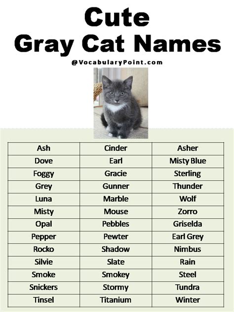 Pin On Cat Names Cat Name Ideas And Inspiration, 44% OFF