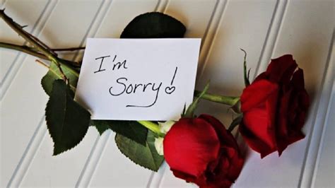 Luxury Quotes Of Apology to A Loved One | Thousands of Inspiration ...