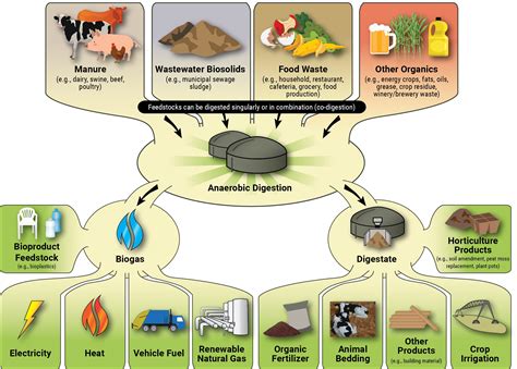 How Does Anaerobic Digestion Work? | US EPA