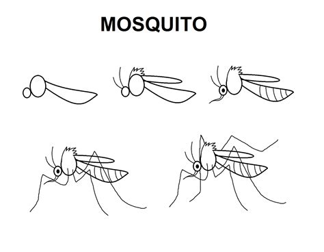 Mosquito Drawing