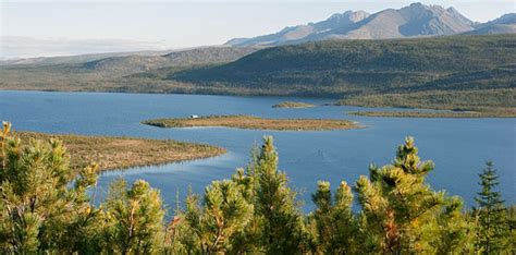 Taiga Location & Climate - Taiga/Coniferous Forest